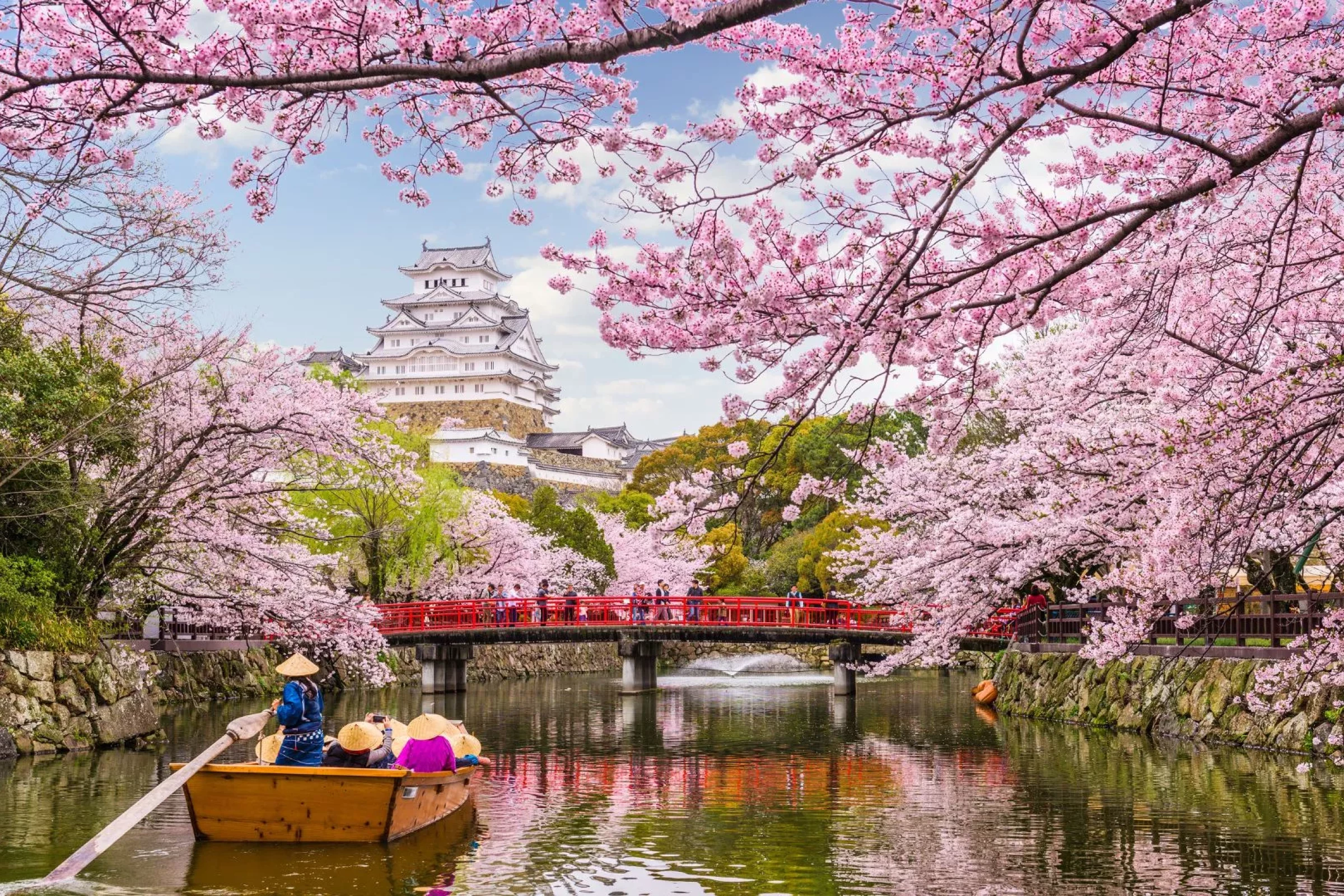 Cherry blossoms peak across Japan. Parks fill with hanami celebrations in mild, pleasant weather.