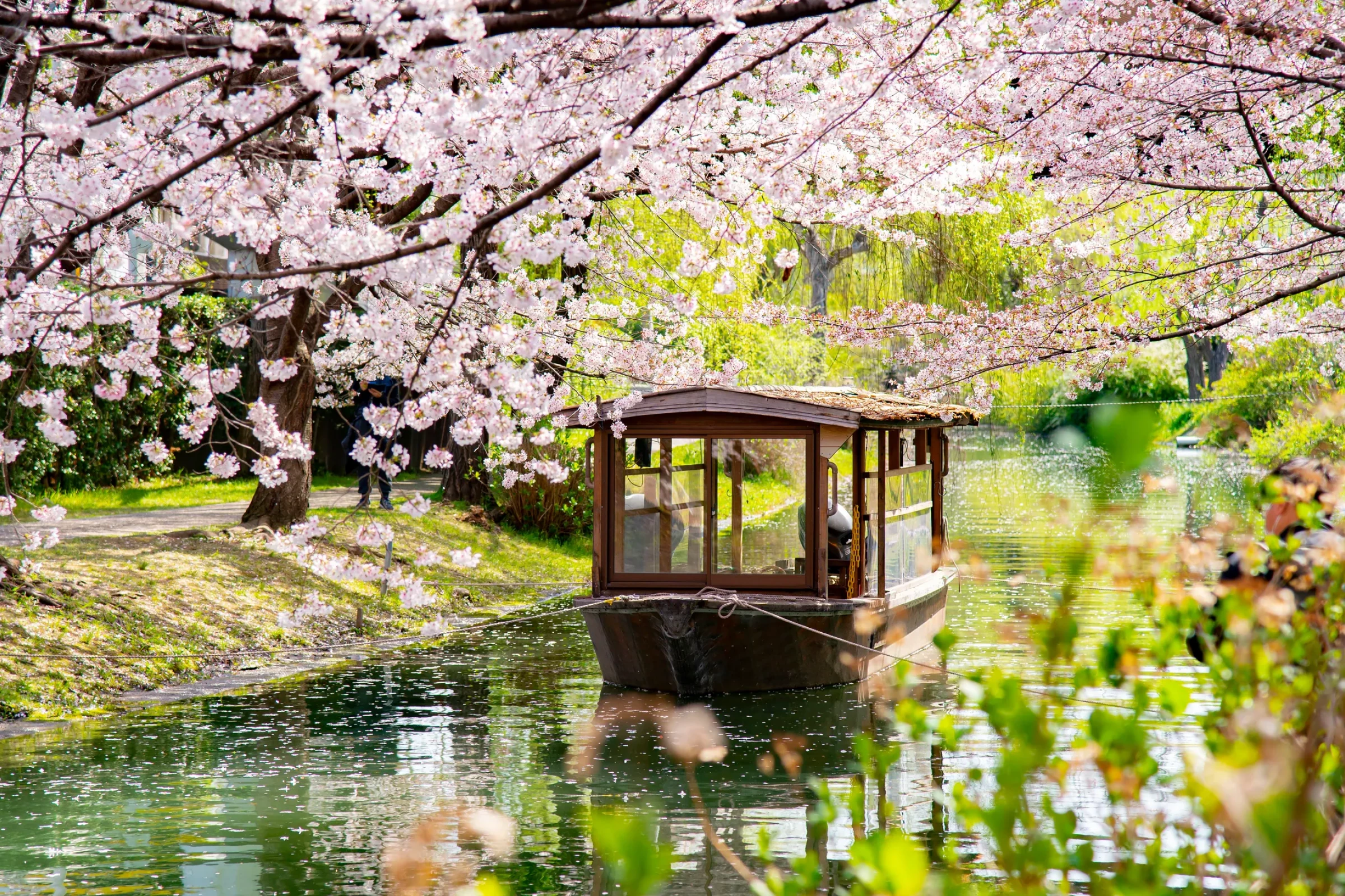 Spring begins with plum blossoms and early cherry blooms in the south. The weather gradually warms.